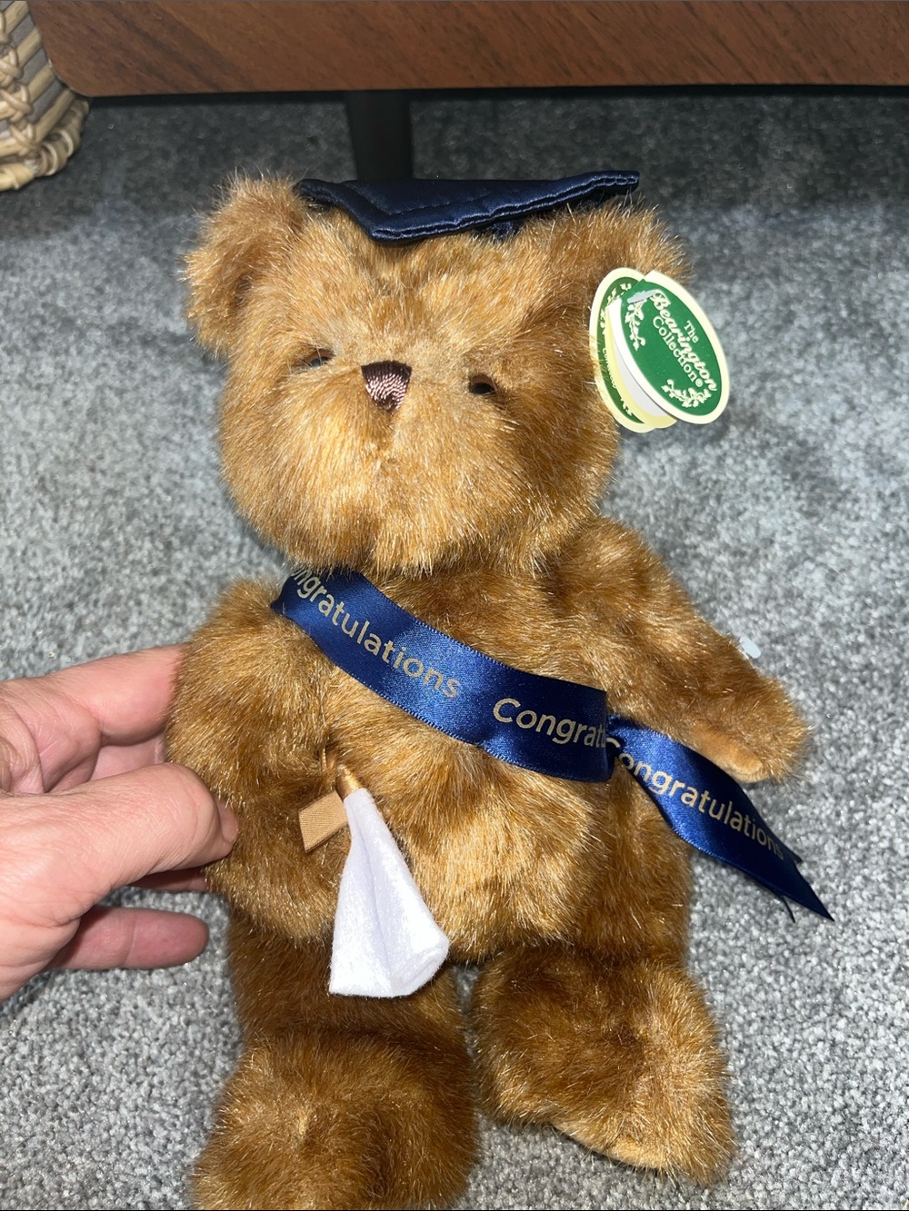 2021 Brown Graduation Teddy Bear with Navy Sash and Cap